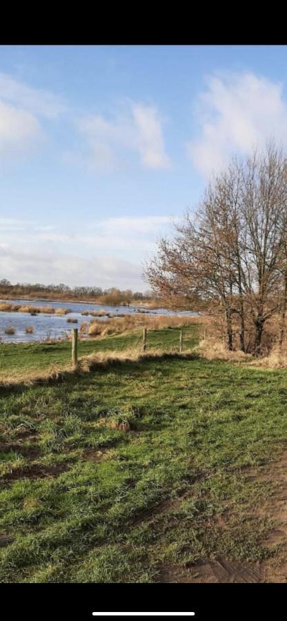Safarihuisje Met Airco! Oisterwijk Buitenkant foto